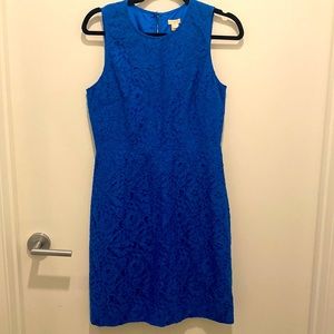 JCrew Cobalt Blue Lace Shift Dress. New with Tags